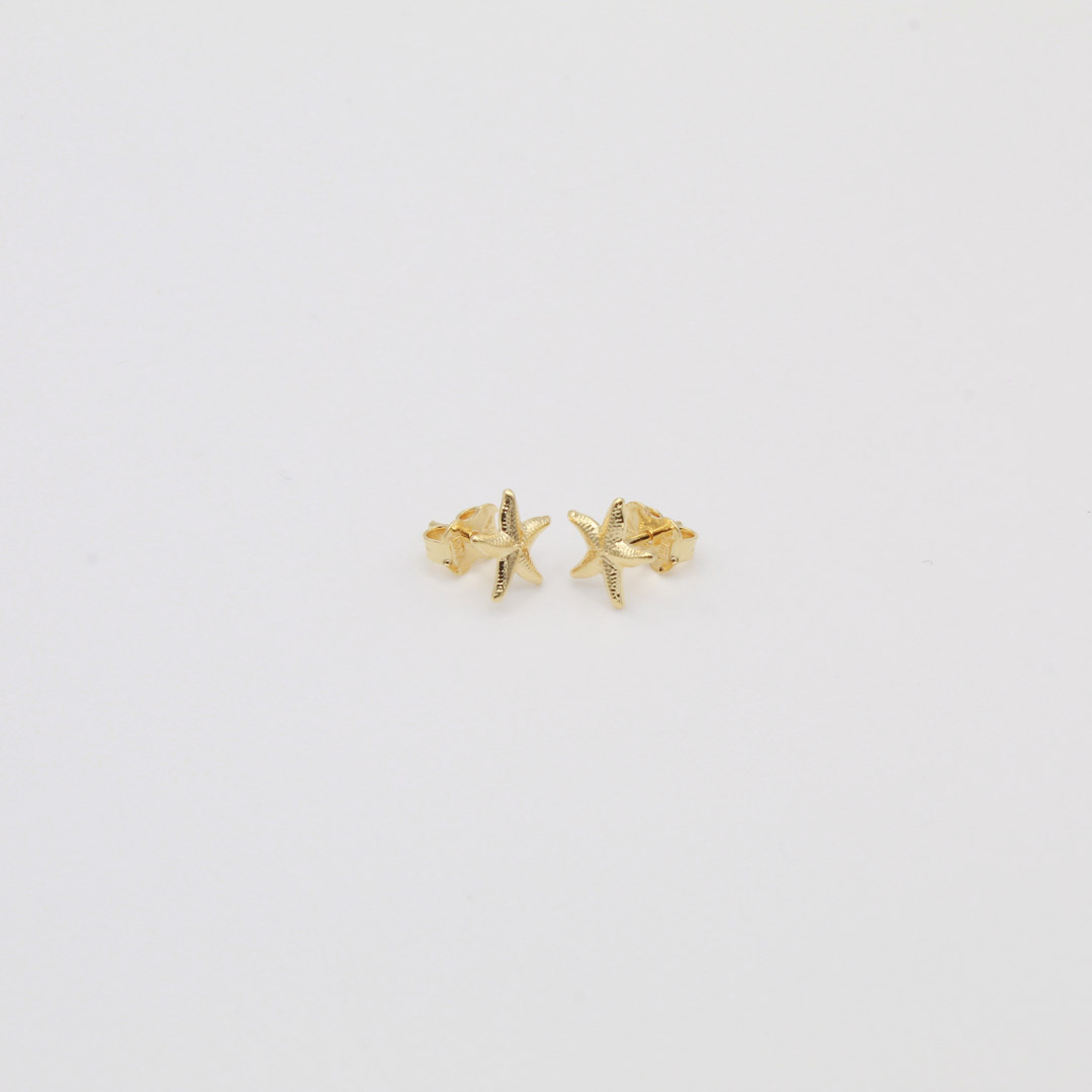 44495002 TOPO ESTRELLA DE MAR - Imagen 1
